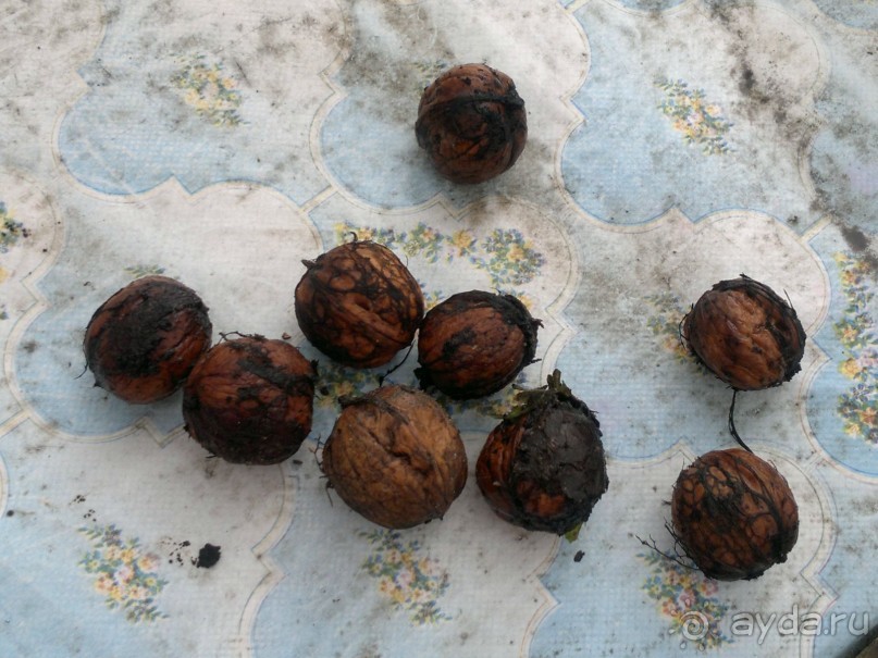 ОТДЫХ ЗИМОЙ...СКУЧНО? ТОЛЬКО НЕ В ГРУЗИИ!!!