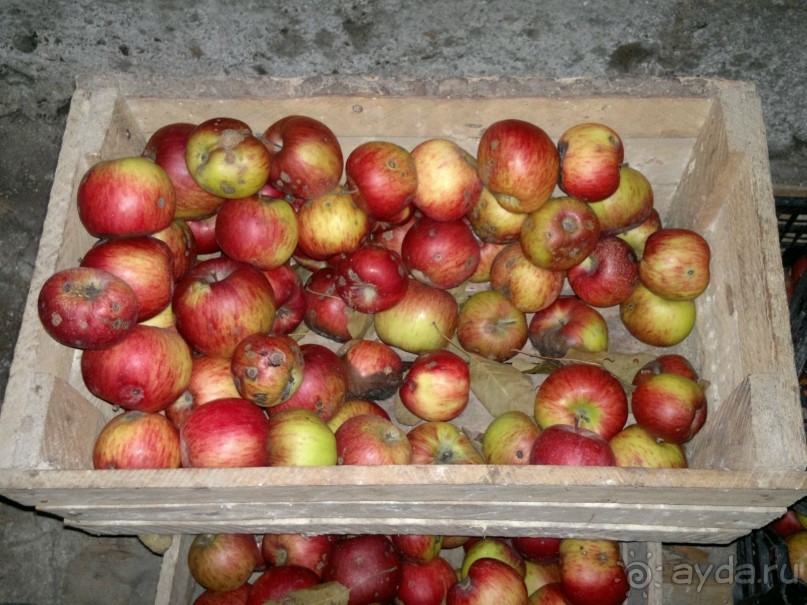 ОТДЫХ ЗИМОЙ...СКУЧНО? ТОЛЬКО НЕ В ГРУЗИИ!!!