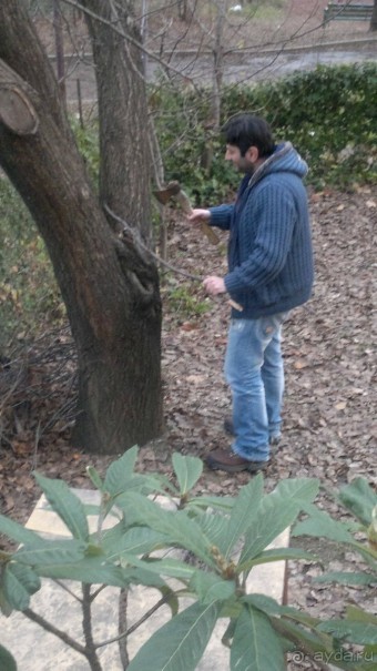 ОТДЫХ ЗИМОЙ...СКУЧНО? ТОЛЬКО НЕ В ГРУЗИИ!!!