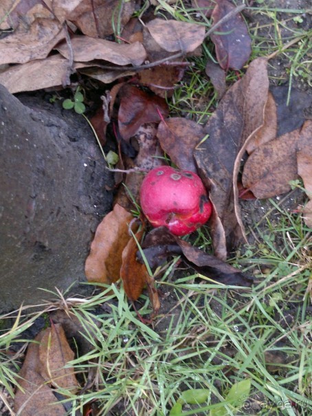 ОТДЫХ ЗИМОЙ...СКУЧНО? ТОЛЬКО НЕ В ГРУЗИИ!!!