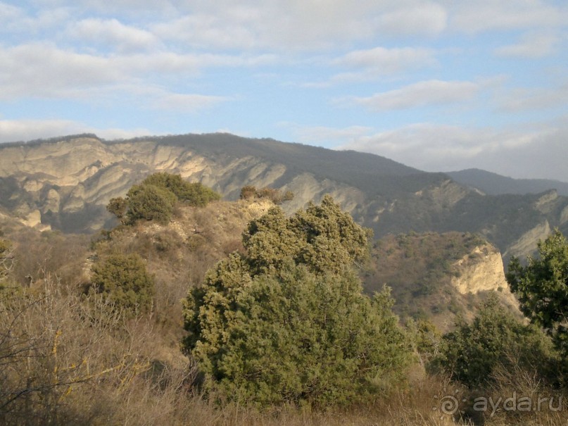 ОТДЫХ ЗИМОЙ...СКУЧНО? ТОЛЬКО НЕ В ГРУЗИИ!!!