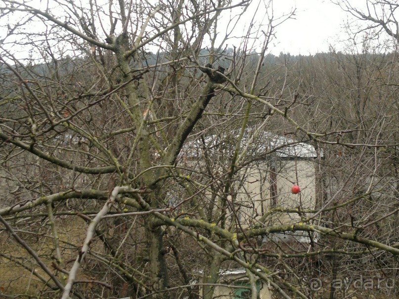 ОТДЫХ ЗИМОЙ...СКУЧНО? ТОЛЬКО НЕ В ГРУЗИИ!!!