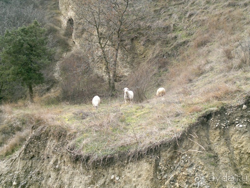 ОТДЫХ ЗИМОЙ...СКУЧНО? ТОЛЬКО НЕ В ГРУЗИИ!!!