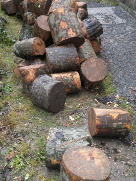 ОТДЫХ ЗИМОЙ...СКУЧНО? ТОЛЬКО НЕ В ГРУЗИИ!!!