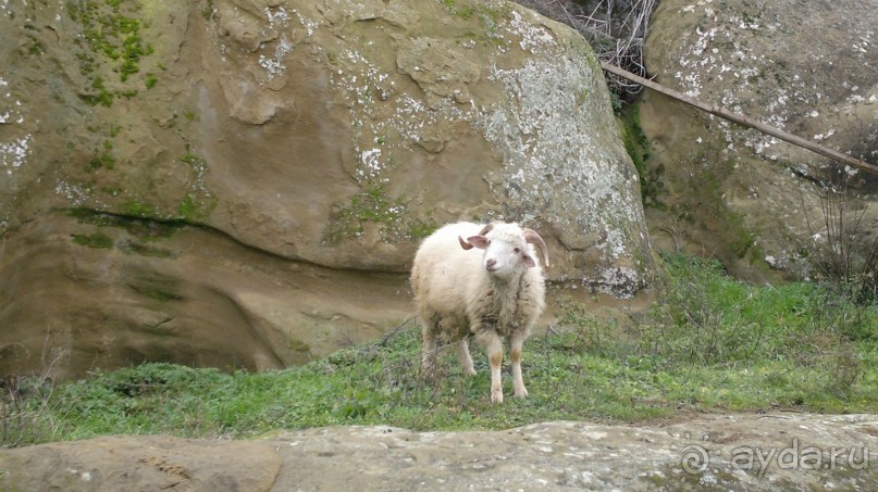 ОТДЫХ ЗИМОЙ...СКУЧНО? ТОЛЬКО НЕ В ГРУЗИИ!!!