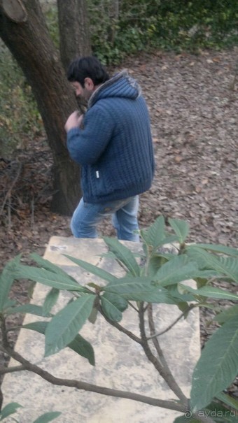 ОТДЫХ ЗИМОЙ...СКУЧНО? ТОЛЬКО НЕ В ГРУЗИИ!!!