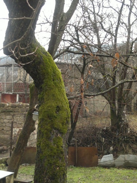 ОТДЫХ ЗИМОЙ...СКУЧНО? ТОЛЬКО НЕ В ГРУЗИИ!!!