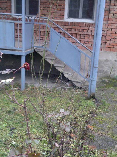 ОТДЫХ ЗИМОЙ...СКУЧНО? ТОЛЬКО НЕ В ГРУЗИИ!!!