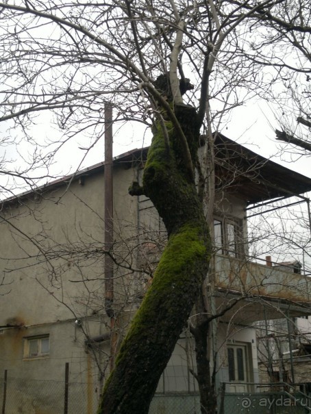 ОТДЫХ ЗИМОЙ...СКУЧНО? ТОЛЬКО НЕ В ГРУЗИИ!!!