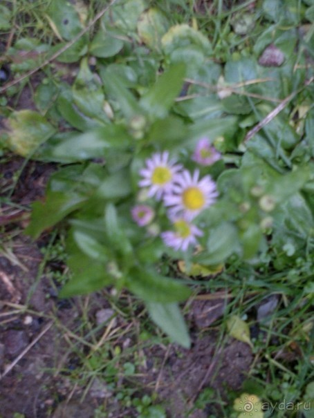 ОТДЫХ ЗИМОЙ...СКУЧНО? ТОЛЬКО НЕ В ГРУЗИИ!!!