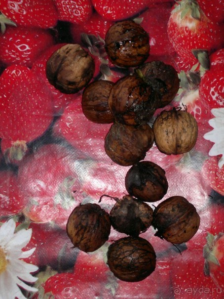 ОТДЫХ ЗИМОЙ...СКУЧНО? ТОЛЬКО НЕ В ГРУЗИИ!!!