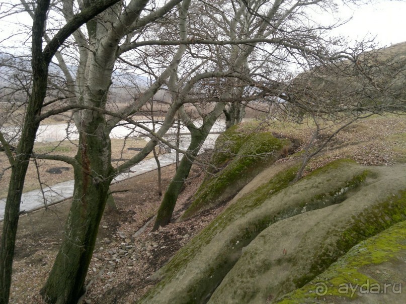 ОТДЫХ ЗИМОЙ...СКУЧНО? ТОЛЬКО НЕ В ГРУЗИИ!!!