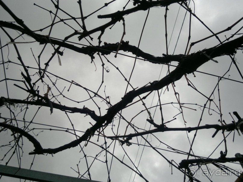 ОТДЫХ ЗИМОЙ...СКУЧНО? ТОЛЬКО НЕ В ГРУЗИИ!!!