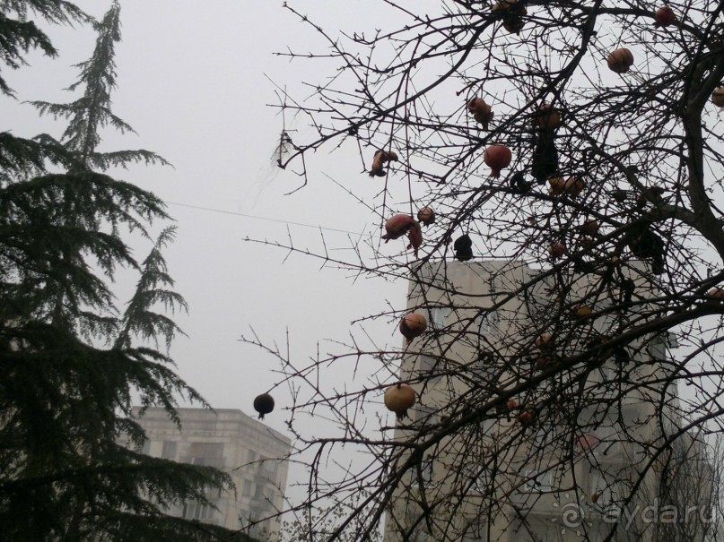 ОТДЫХ ЗИМОЙ...СКУЧНО? ТОЛЬКО НЕ В ГРУЗИИ!!!