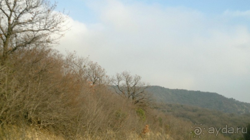 ОТДЫХ ЗИМОЙ...СКУЧНО? ТОЛЬКО НЕ В ГРУЗИИ!!!