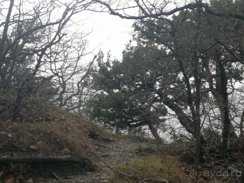 ОТДЫХ ЗИМОЙ...СКУЧНО? ТОЛЬКО НЕ В ГРУЗИИ!!!