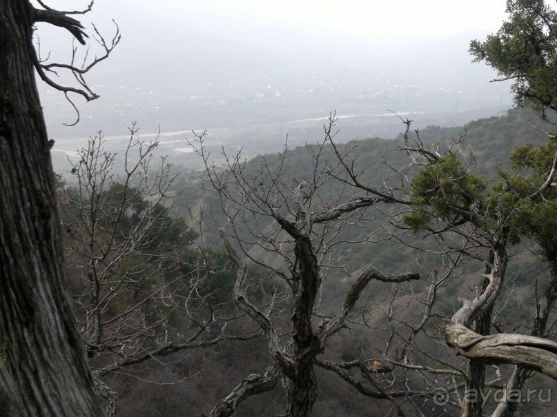 ОТДЫХ ЗИМОЙ...СКУЧНО? ТОЛЬКО НЕ В ГРУЗИИ!!!