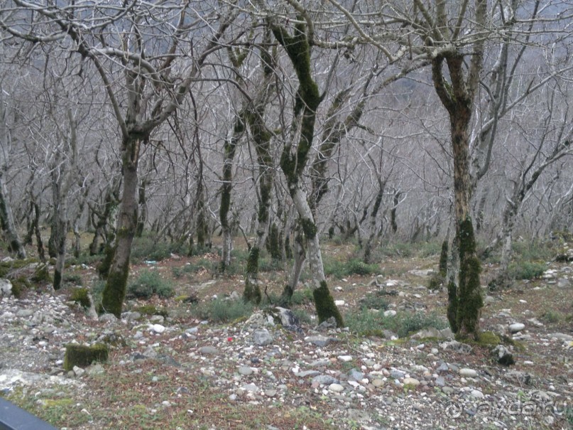 ОТДЫХ ЗИМОЙ...СКУЧНО? ТОЛЬКО НЕ В ГРУЗИИ!!!