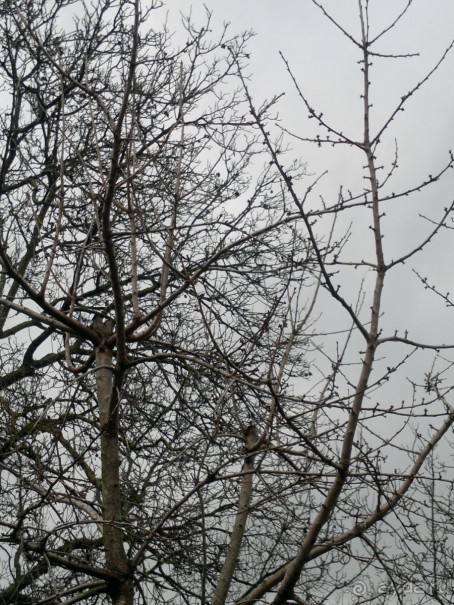 ОТДЫХ ЗИМОЙ...СКУЧНО? ТОЛЬКО НЕ В ГРУЗИИ!!!