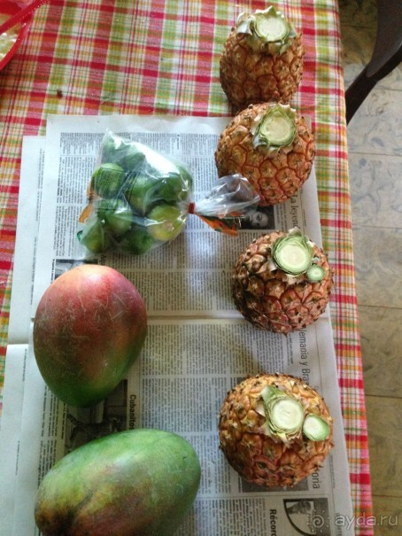 Райский уголок...