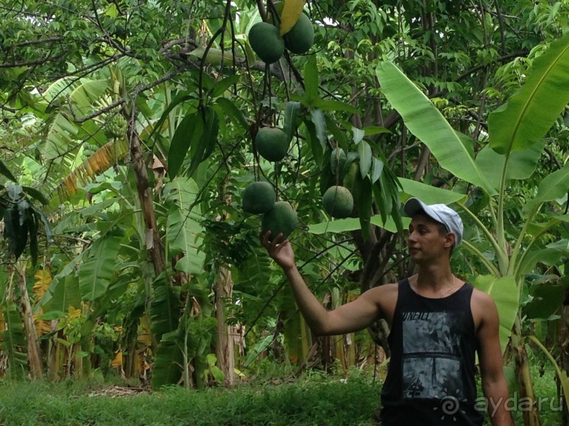 Райский уголок...