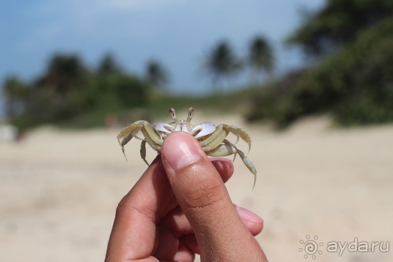 Райский уголок...