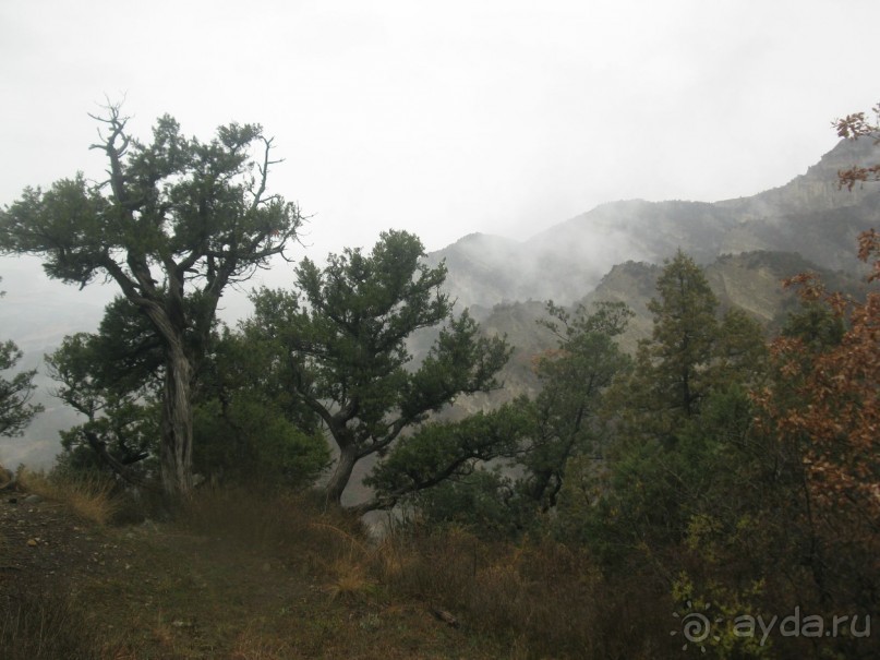 Светицховели  Шио-Мгвимский монастырь Грузия 