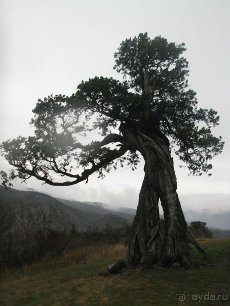 Светицховели  Шио-Мгвимский монастырь Грузия 