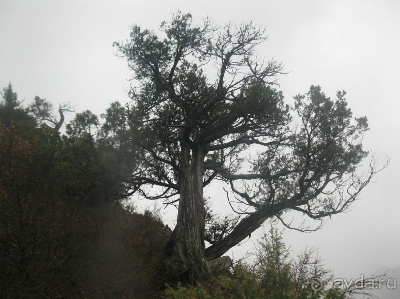 Светицховели  Шио-Мгвимский монастырь Грузия 