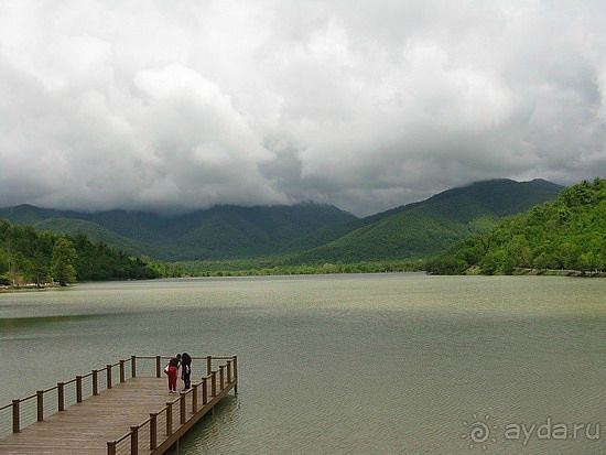 Греми Грузия 