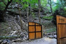 Альбом отзыва "Грузия Боржоми"