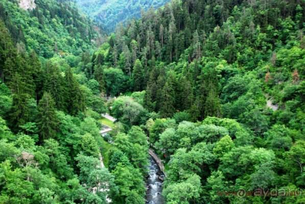 Грузия Боржоми