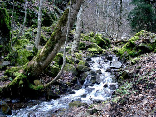 Грузия Боржоми