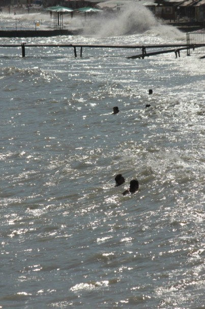 фото Коктебеля