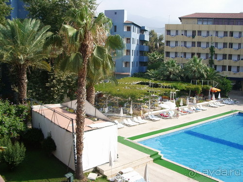 фото Banana Hotel