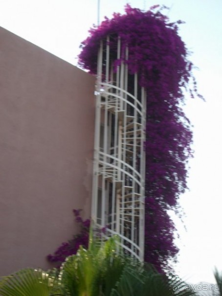 фото Banana Hotel