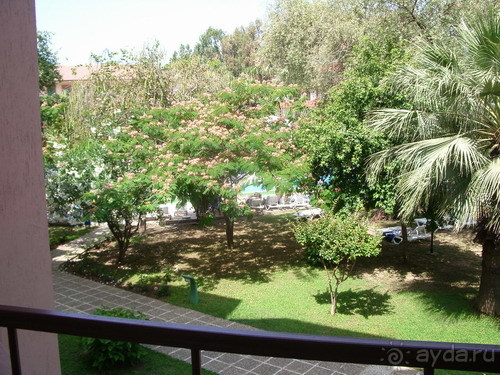 фото Banana Hotel