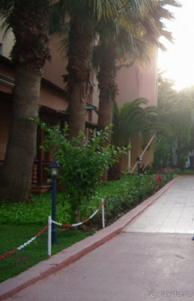 фото Banana Hotel