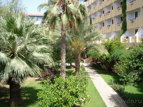 фото Banana Hotel