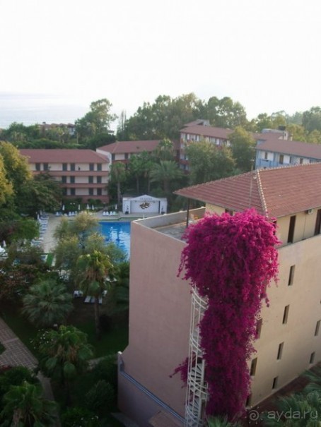 Территория отеля