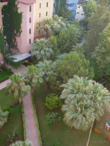 фото Banana Hotel