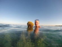 отель отличный...приеду ещё с семьёй...только в этот отель