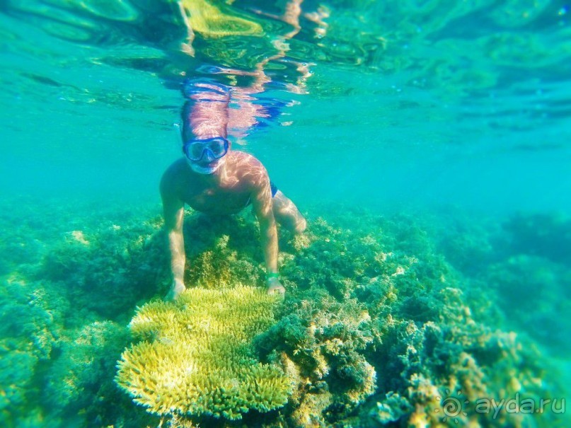 отель отличный...приеду ещё с семьёй...только в этот отель