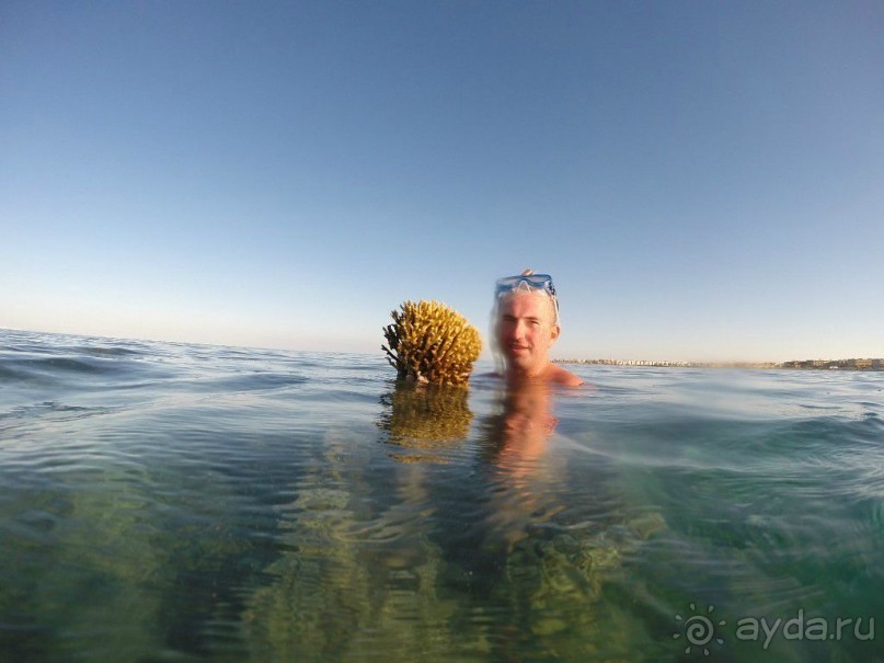 отель отличный...приеду ещё с семьёй...только в этот отель