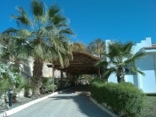 фото Dessole Nesco Waves