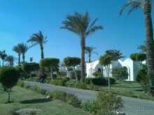 фото Dessole Nesco Waves