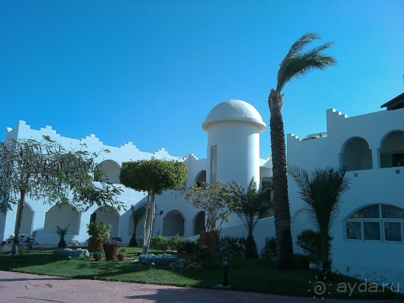 Чесотка в подарок