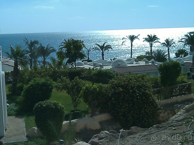 Чесотка в подарок