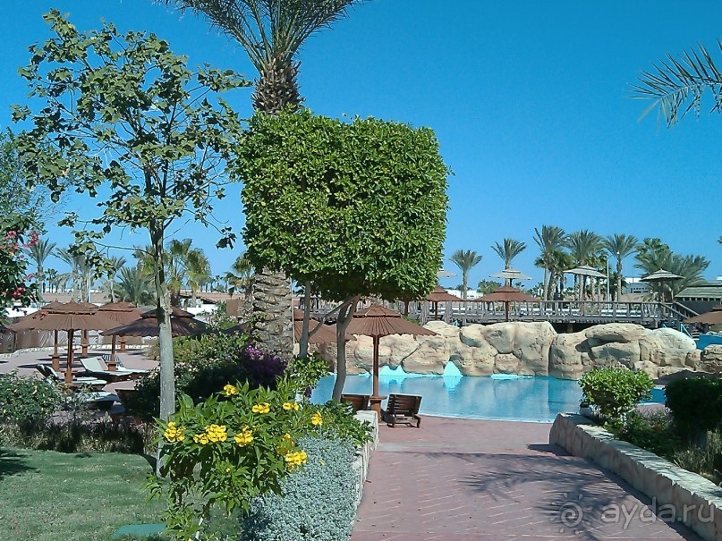 Чесотка в подарок