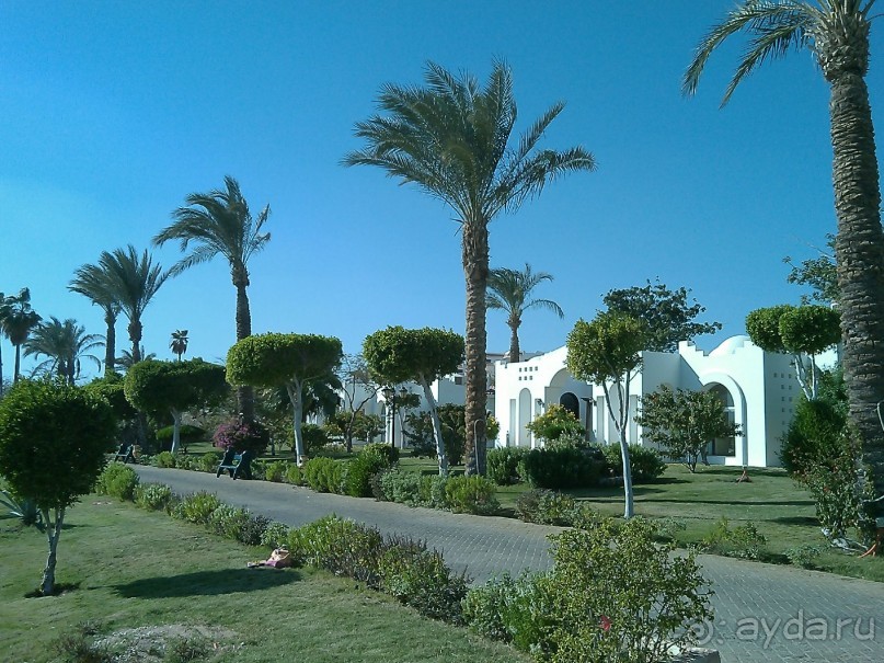 Чесотка в подарок